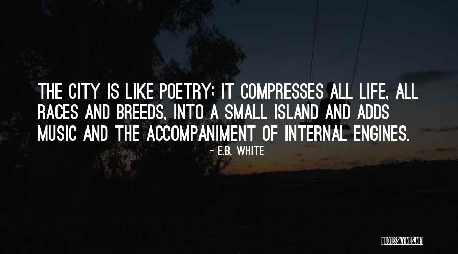 Abuts The Ventral Thecal Sac Quotes By E.B. White Abuts The Ventral Thecal Sac Quotes By E.B. White
