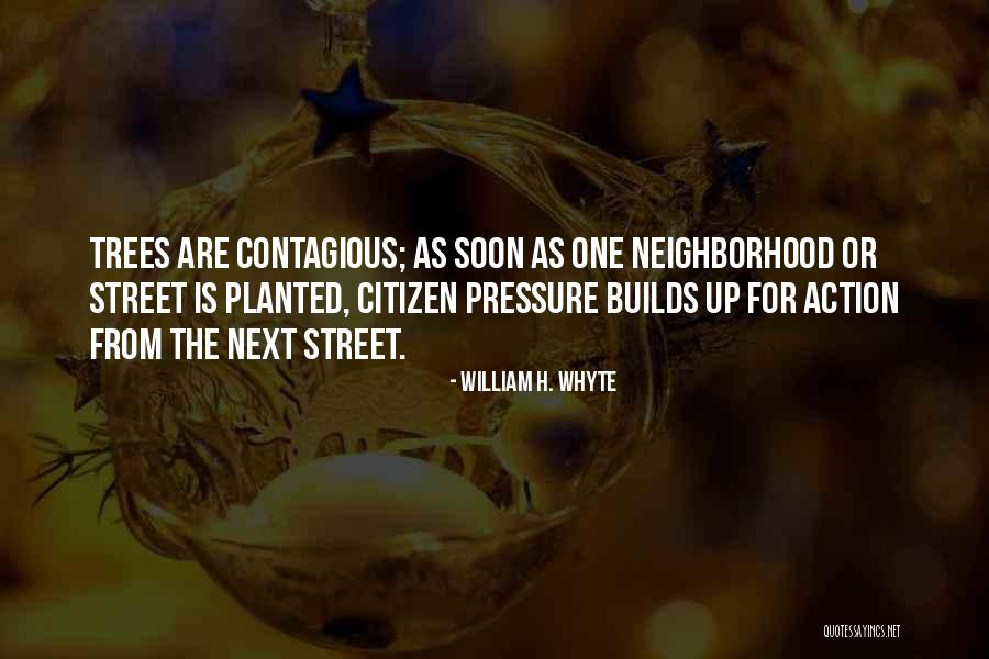 Abysmo Cerveza Quotes By William H. Whyte Abysmo Cerveza Quotes By William H. Whyte