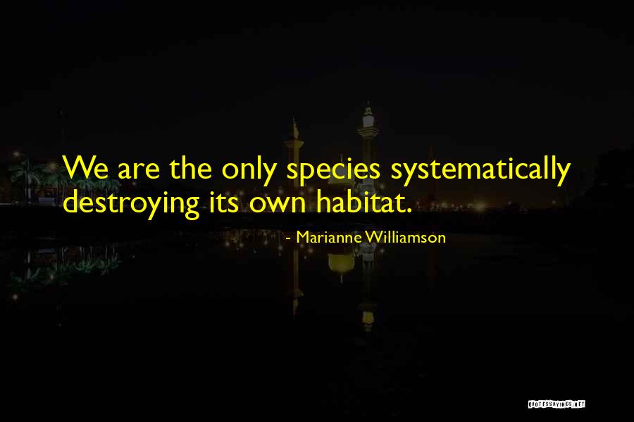Acabando Sinonimo Quotes By Marianne Williamson Acabando Sinonimo Quotes By Marianne Williamson