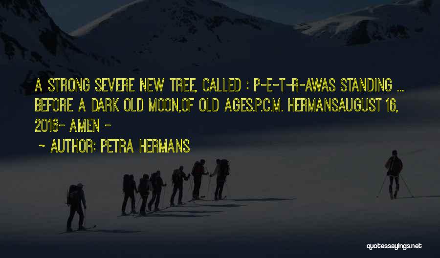 Acacia Quotes By Petra Hermans
