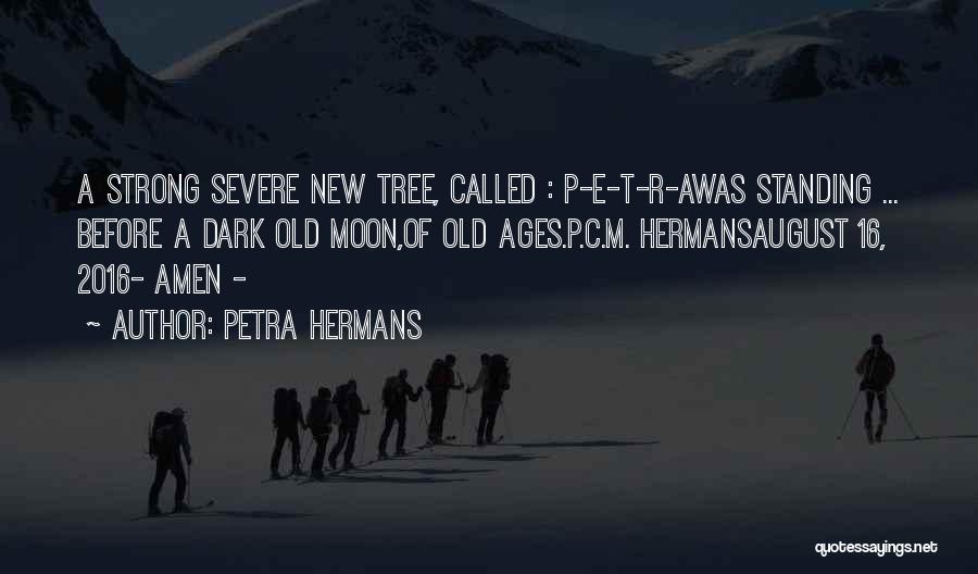 Acacia Tree Quotes By Petra Hermans