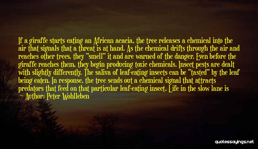 Acacia Trees Quotes By Peter Wohlleben