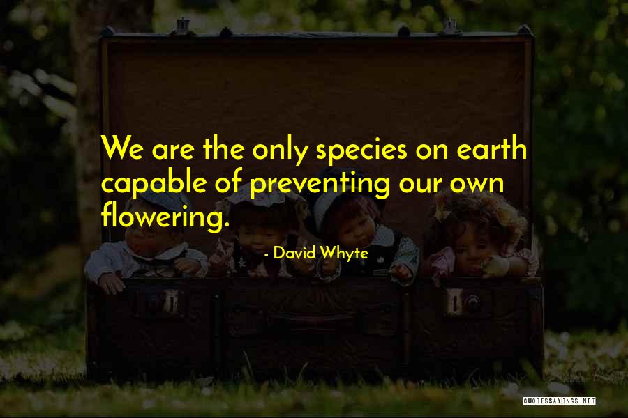Acad Mie Fran Aise Quotes By David Whyte Acad Mie Fran Aise Quotes By David Whyte