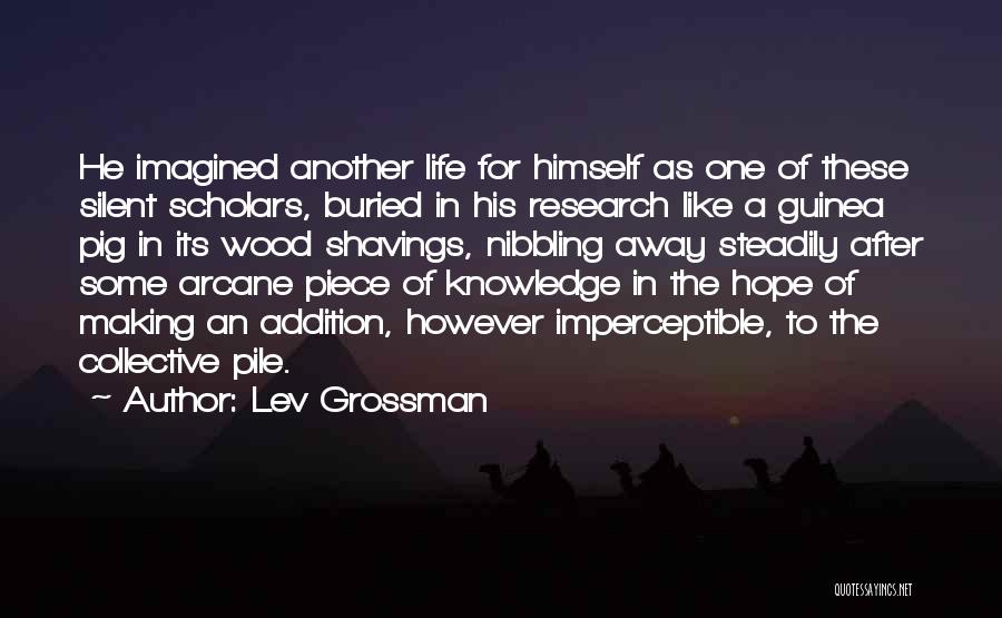 Academia Quotes By Lev Grossman