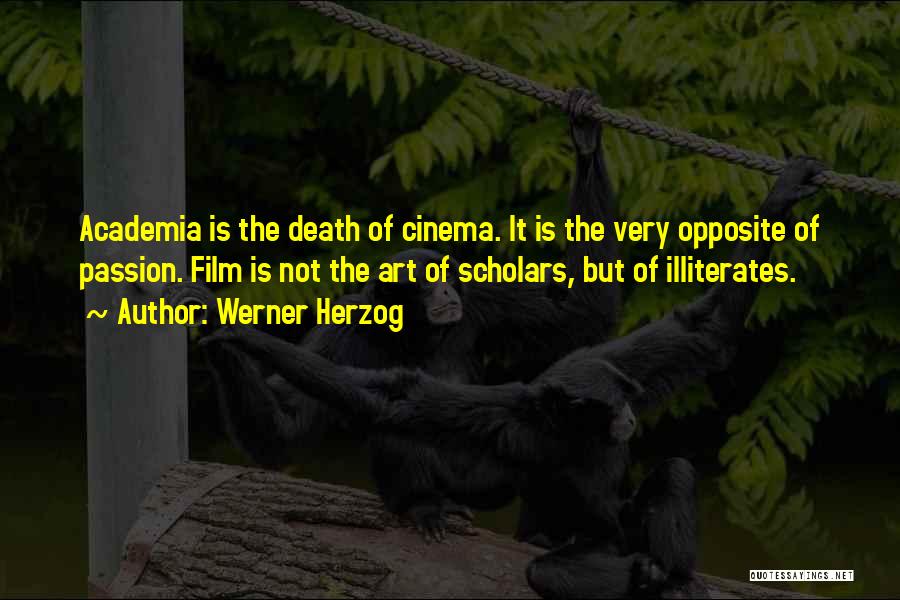 Academia Quotes By Werner Herzog