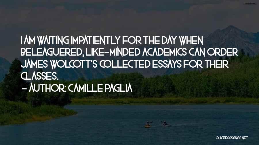 Academics Quotes By Camille Paglia