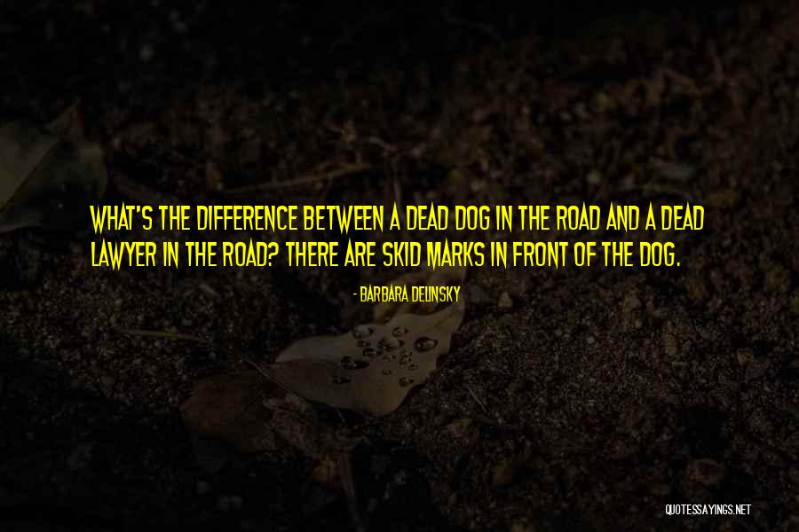 Acadia Park Quotes By Barbara Delinsky Acadia Park Quotes By Barbara Delinsky