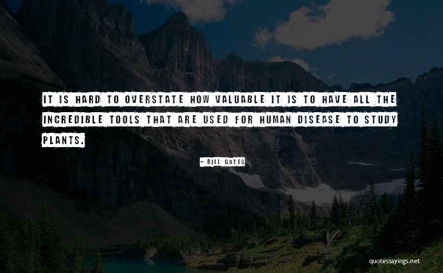 Acaeronet Quotes By Bill Gates Acaeronet Quotes By Bill Gates