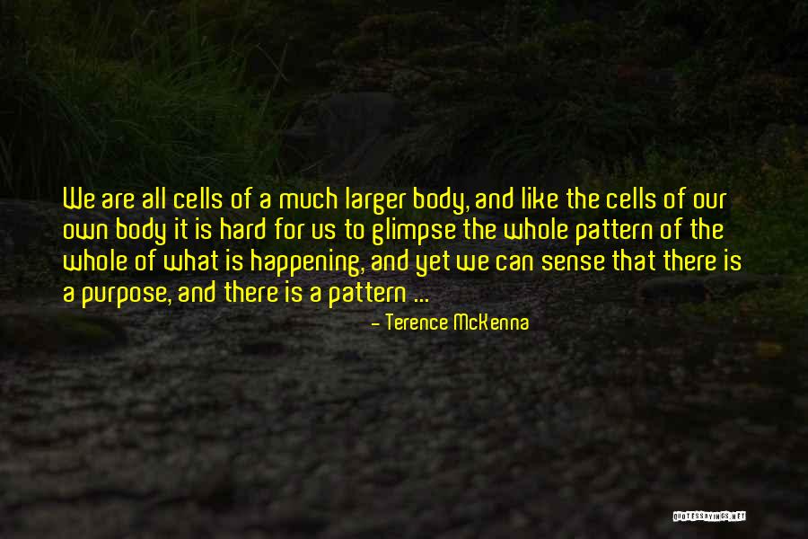 Acaeronet Quotes By Terence McKenna Acaeronet Quotes By Terence McKenna