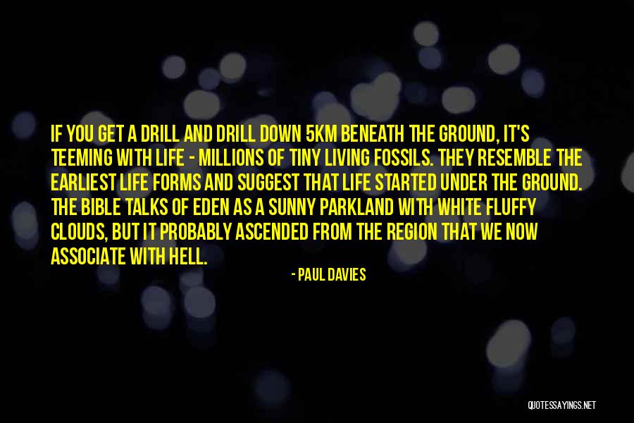 Acaraje Quotes By Paul Davies Acaraje Quotes By Paul Davies