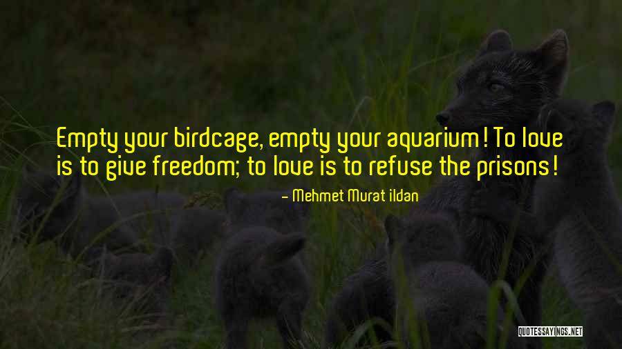 Acariciandole Quotes By Mehmet Murat Ildan Acariciandole Quotes By Mehmet Murat Ildan