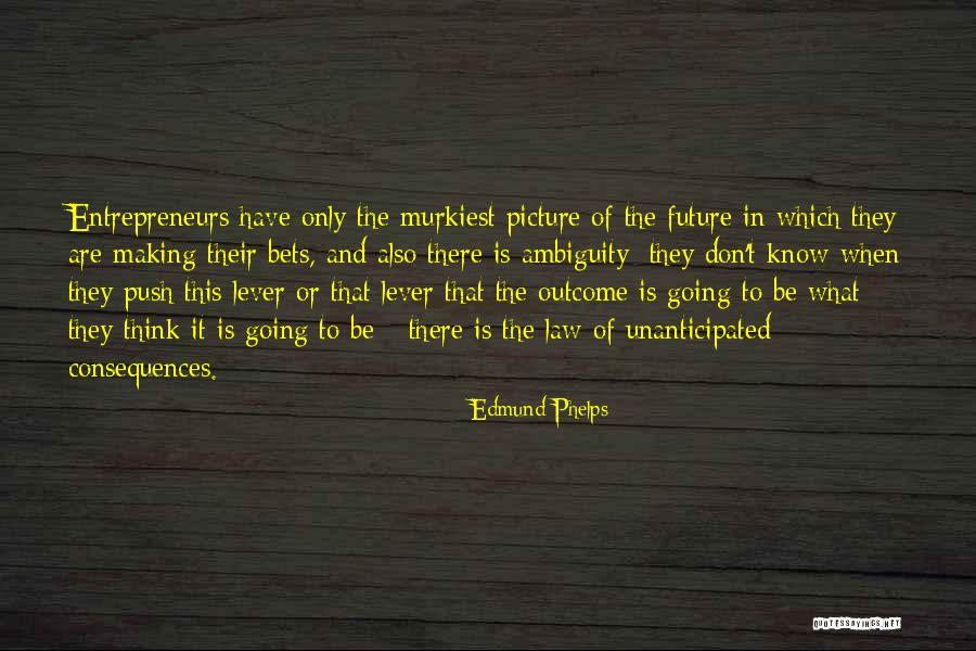 Acaricio In English Quotes By Edmund Phelps Acaricio In English Quotes By Edmund Phelps
