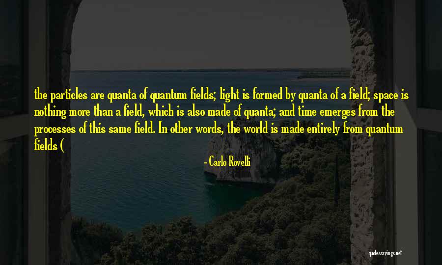 Acarrear In English Quotes By Carlo Rovelli Acarrear In English Quotes By Carlo Rovelli