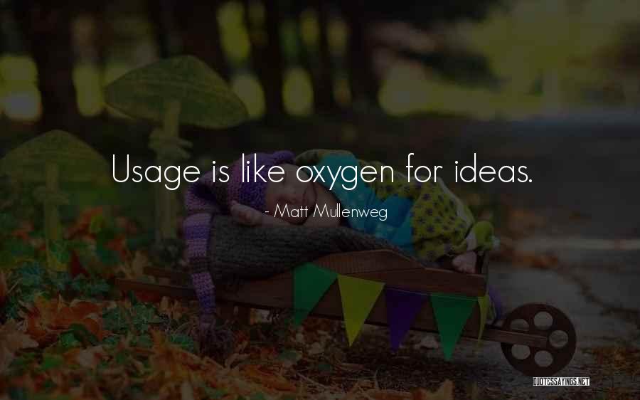 Acatabatelo Quotes By Matt Mullenweg