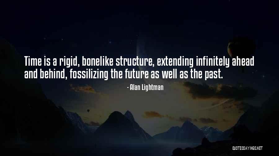 Acausal Parallelism Quotes By Alan Lightman Acausal Parallelism Quotes By Alan Lightman