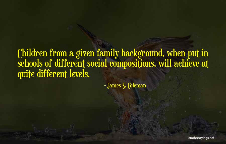 Accanto Riedel Quotes By James S. Coleman Accanto Riedel Quotes By James S. Coleman