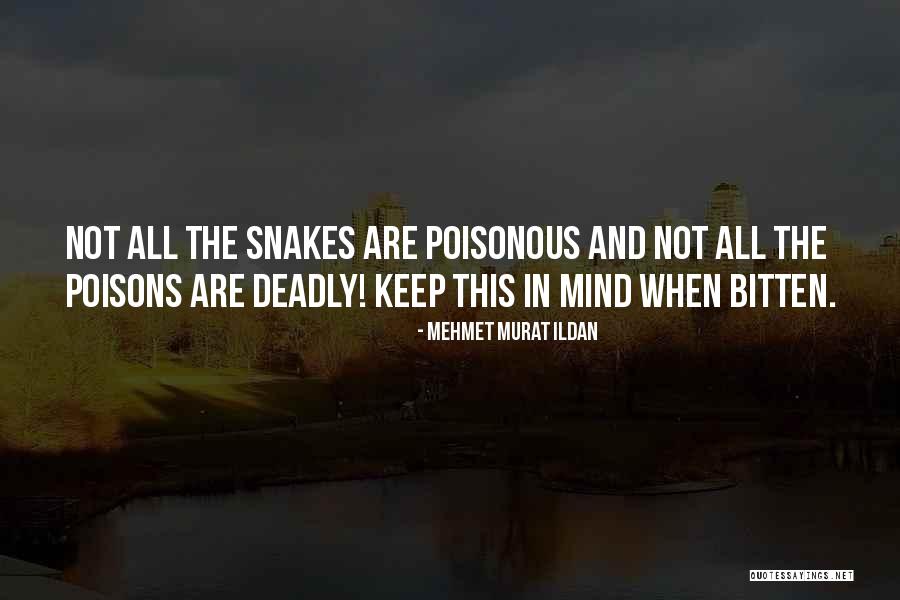 Accardis Quotes By Mehmet Murat Ildan Accardis Quotes By Mehmet Murat Ildan