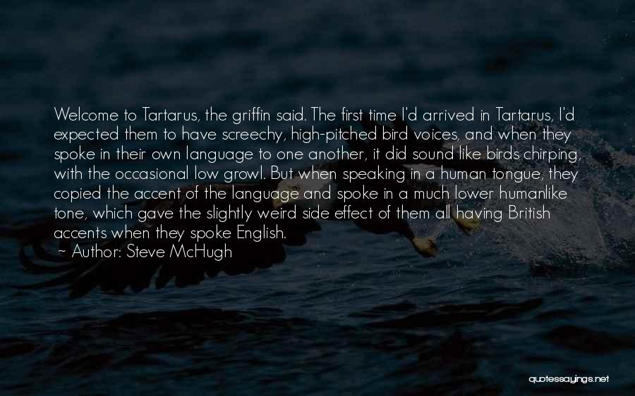 Accent Quotes By Steve McHugh