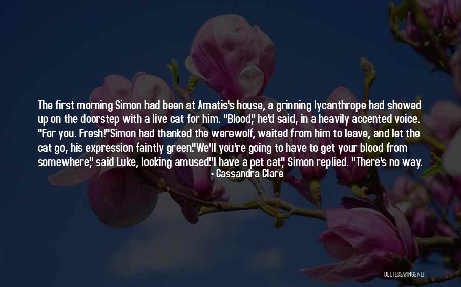 Accented N Quotes By Cassandra Clare Accented N Quotes By Cassandra Clare