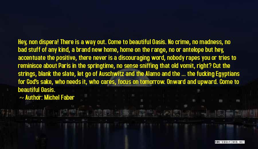 Accentuate Quotes By Michel Faber