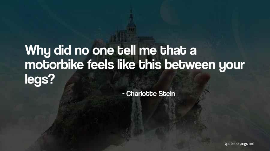 Accepatance Quotes By Charlotte Stein Accepatance Quotes By Charlotte Stein