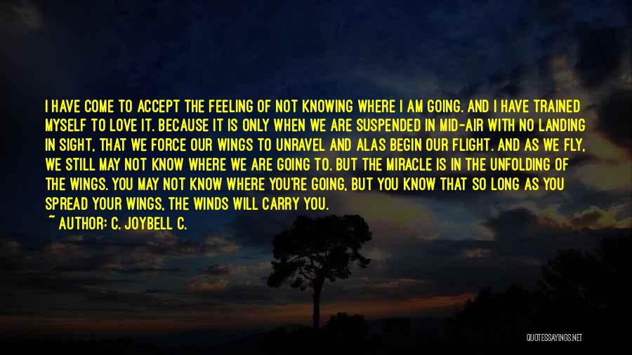 Accept As You Are Quotes By C. JoyBell C.