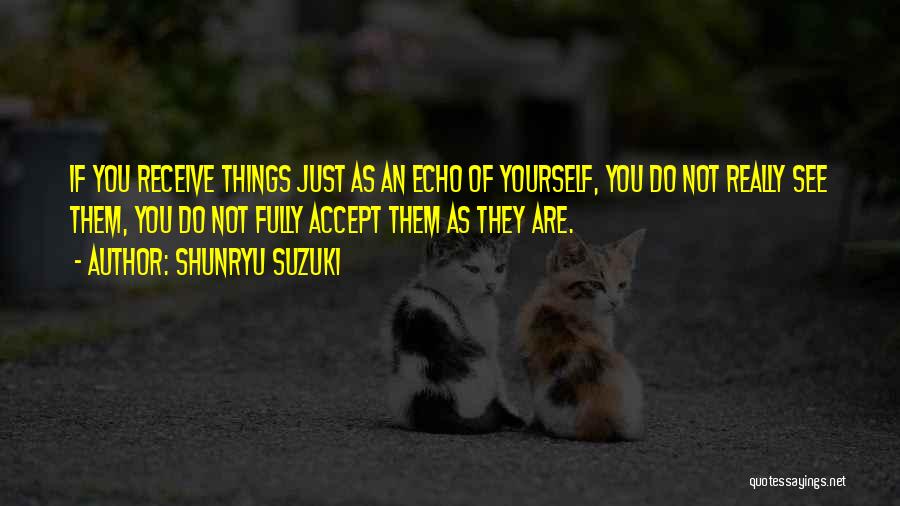 Accept As You Are Quotes By Shunryu Suzuki