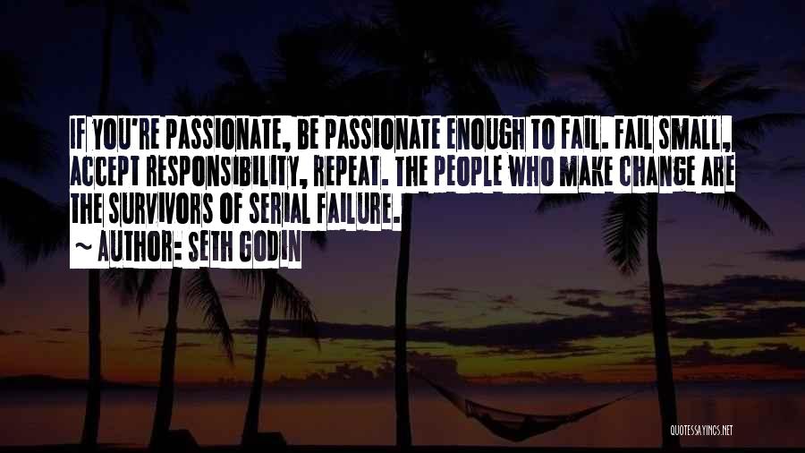 Accept Responsibility Quotes By Seth Godin