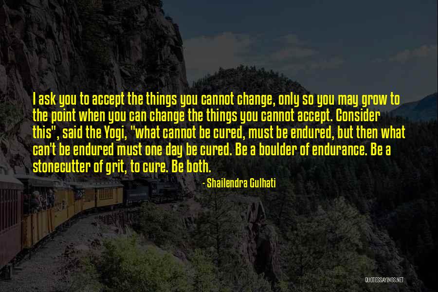 Accept What You Cannot Change Quotes By Shailendra Gulhati Accept What You Cannot Change Quotes By Shailendra Gulhati