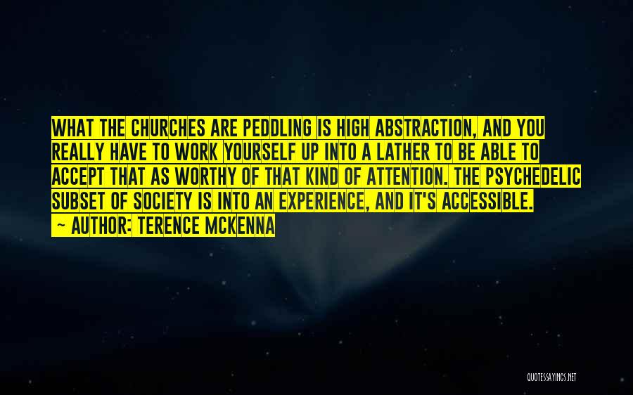 Accept Yourself As You Are Quotes By Terence McKenna