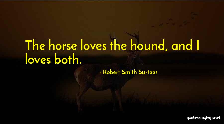 Acceptability Test Quotes By Robert Smith Surtees