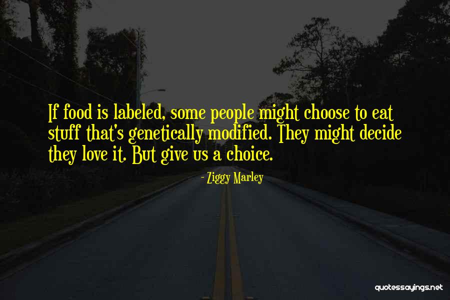 Acceptability Test Quotes By Ziggy Marley Acceptability Test Quotes By Ziggy Marley