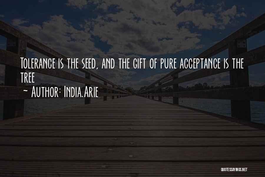 Acceptance And Tolerance Quotes By India.Arie