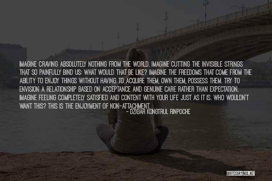 Acceptance In A Relationship Quotes By Dzigar Kongtrul Rinpoche Acceptance In A Relationship Quotes By Dzigar Kongtrul Rinpoche