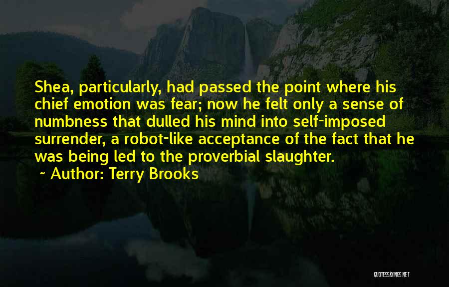 Acceptance Now Quotes By Terry Brooks