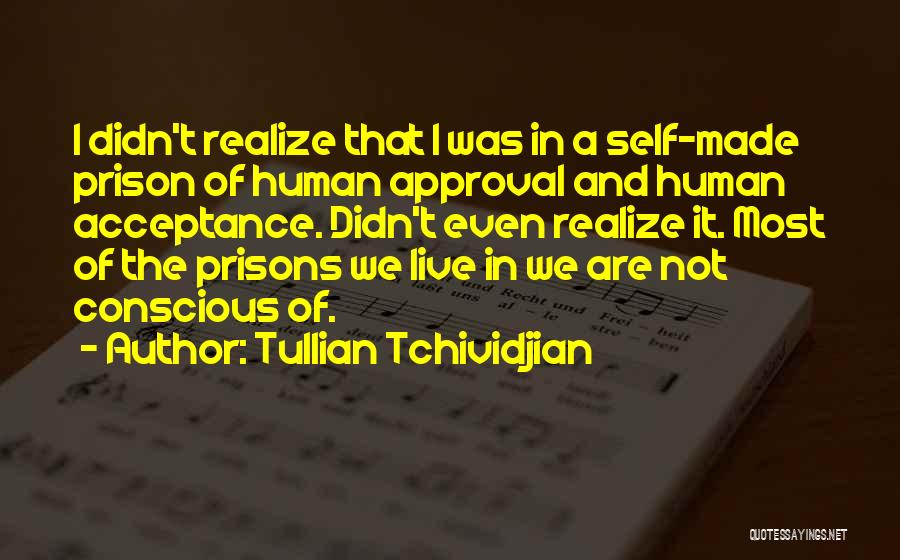 Acceptance Of Self Quotes By Tullian Tchividjian