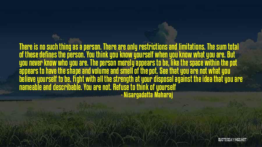 Acceptance Of Yourself Quotes By Nisargadatta Maharaj