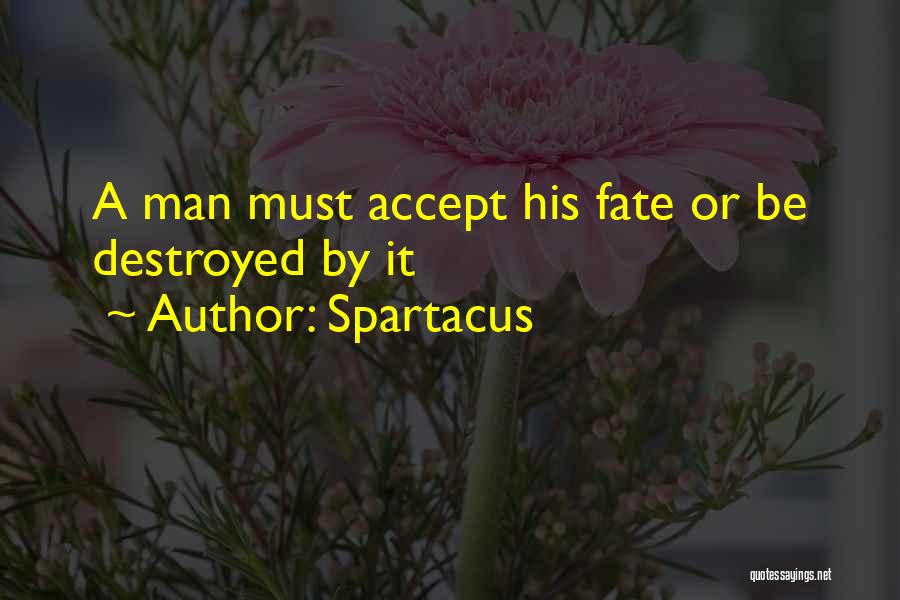 Accepting Fate Quotes By Spartacus