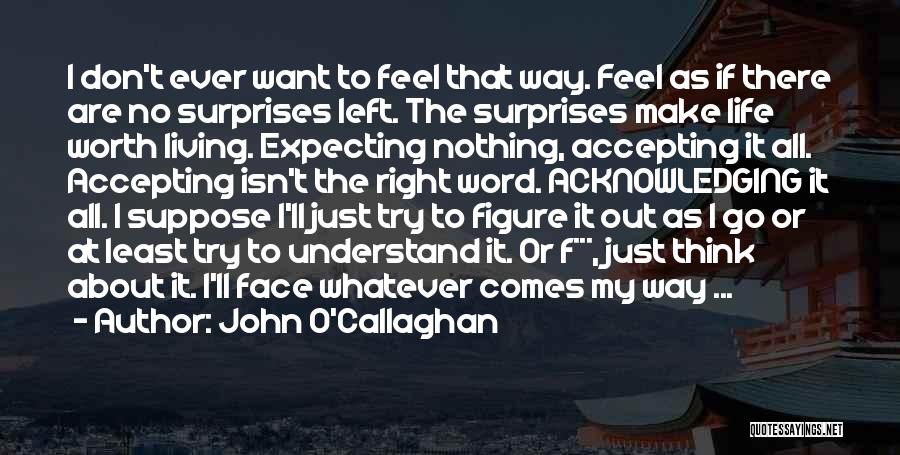 Accepting Life As It Comes Quotes By John O'Callaghan