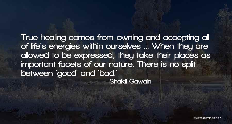 Accepting Life For What It Is Quotes By Shakti Gawain