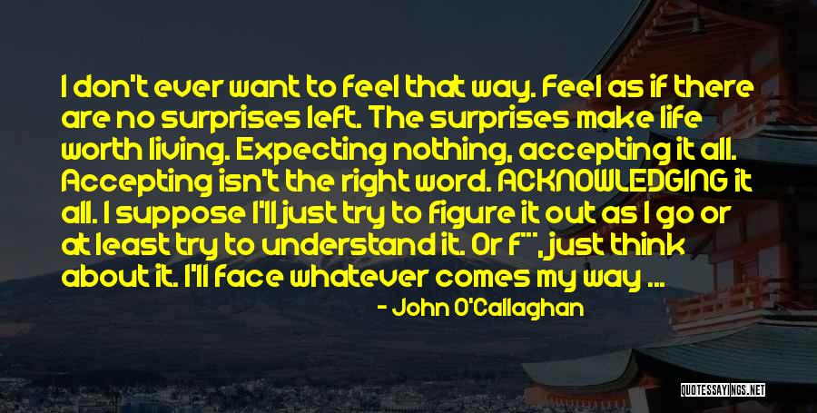 Accepting Life Quotes By John O'Callaghan