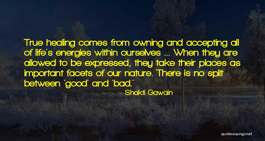 Accepting Life Quotes By Shakti Gawain