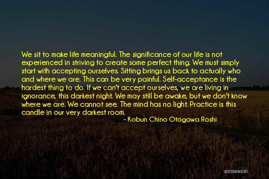 Accepting Ourselves Quotes By Kobun Chino Otogawa Roshi Accepting Ourselves Quotes By Kobun Chino Otogawa Roshi