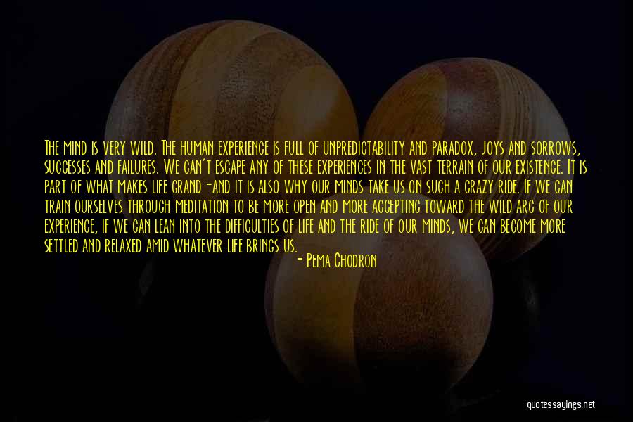 Accepting Ourselves Quotes By Pema Chodron Accepting Ourselves Quotes By Pema Chodron