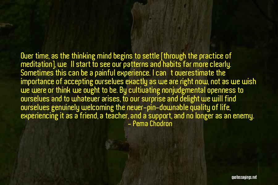 Accepting Ourselves Quotes By Pema Chodron Accepting Ourselves Quotes By Pema Chodron