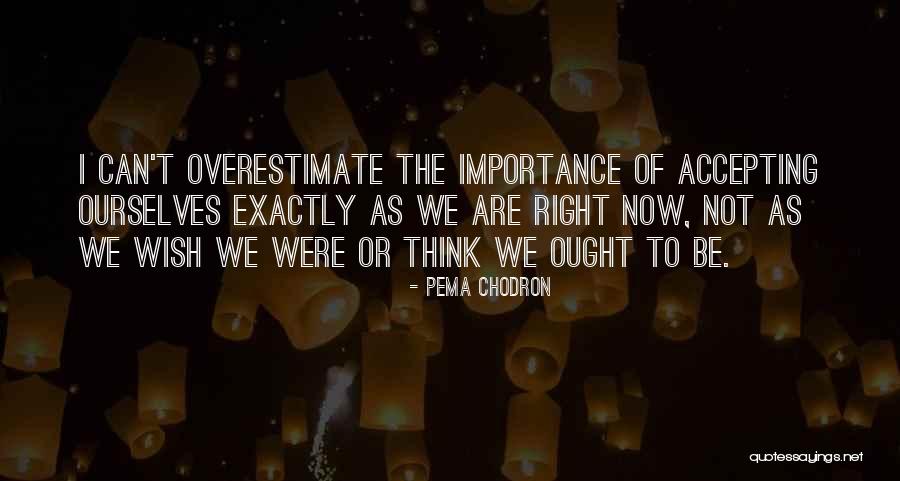 Accepting Ourselves Quotes By Pema Chodron Accepting Ourselves Quotes By Pema Chodron