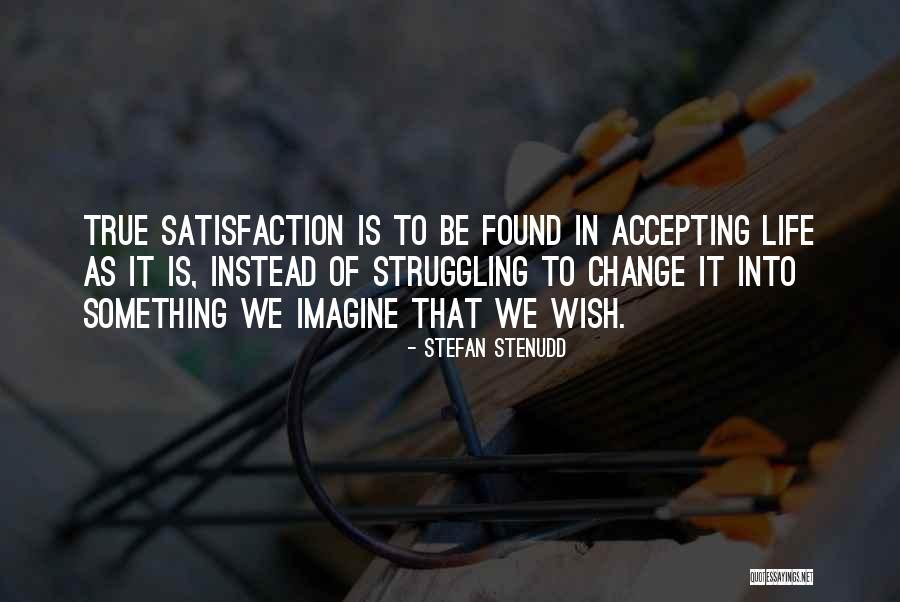 Accepting The Things You Cannot Change Quotes By Stefan Stenudd