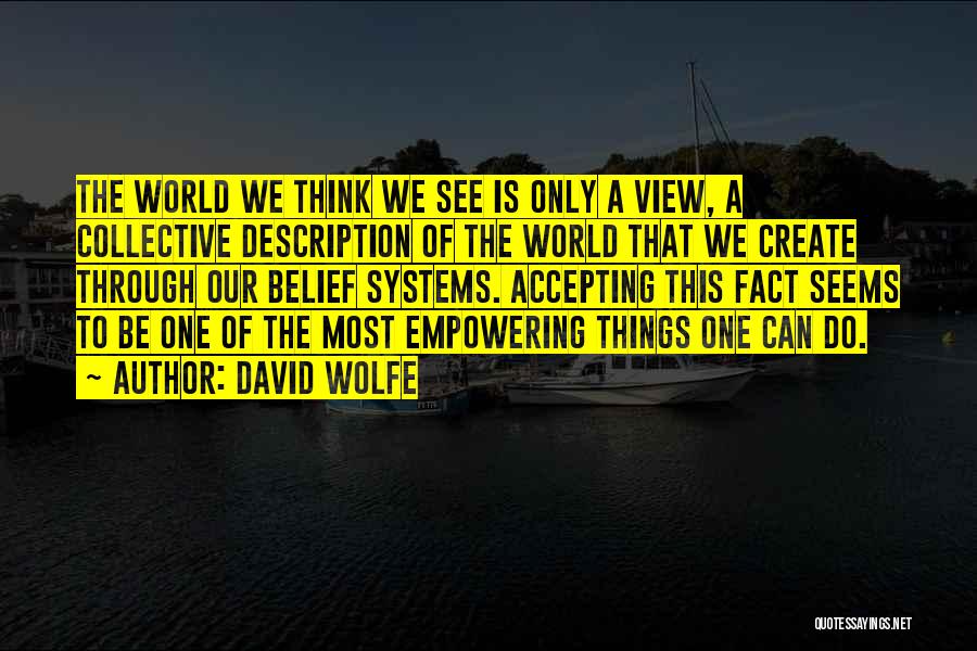 Accepting Things Quotes By David Wolfe