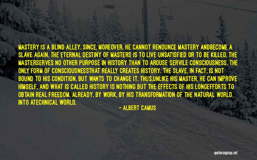 Accepting Things That Cannot Change Quotes By Albert Camus