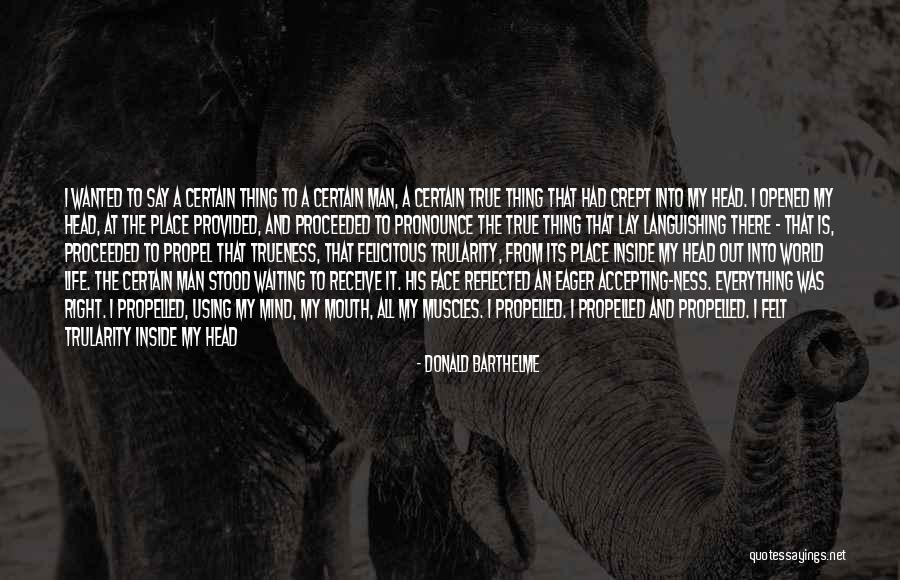Accepting Truth Quotes By Donald Barthelme Accepting Truth Quotes By Donald Barthelme
